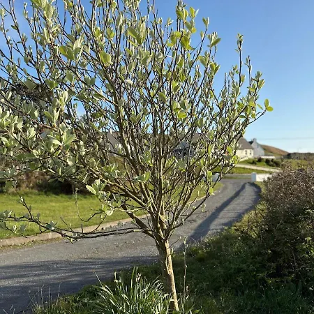 Luxurious Large West Cork With Seaviews Holiday home Skibbereen
